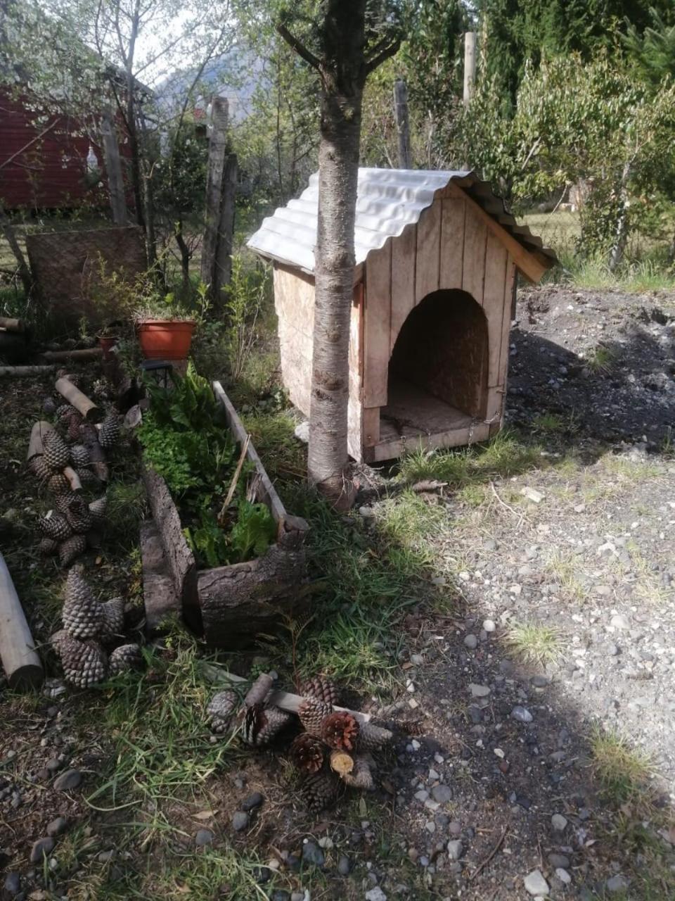 Cabana May Pao, Para 3 En Melipeuco Cerca Del Parque Nacional Conguillio Extérieur photo