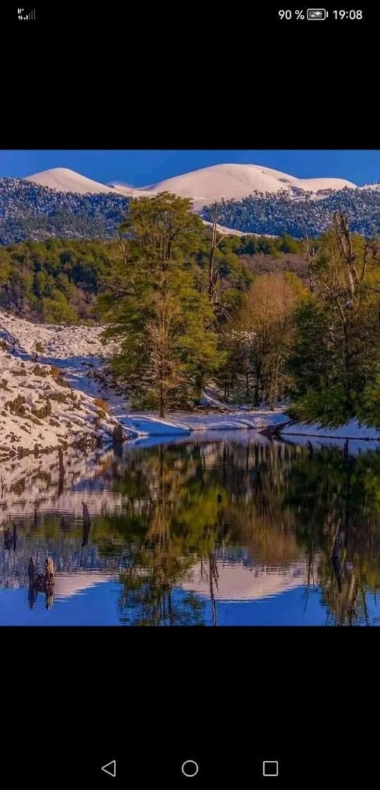 Cabana May Pao, Para 3 En Melipeuco Cerca Del Parque Nacional Conguillio Extérieur photo