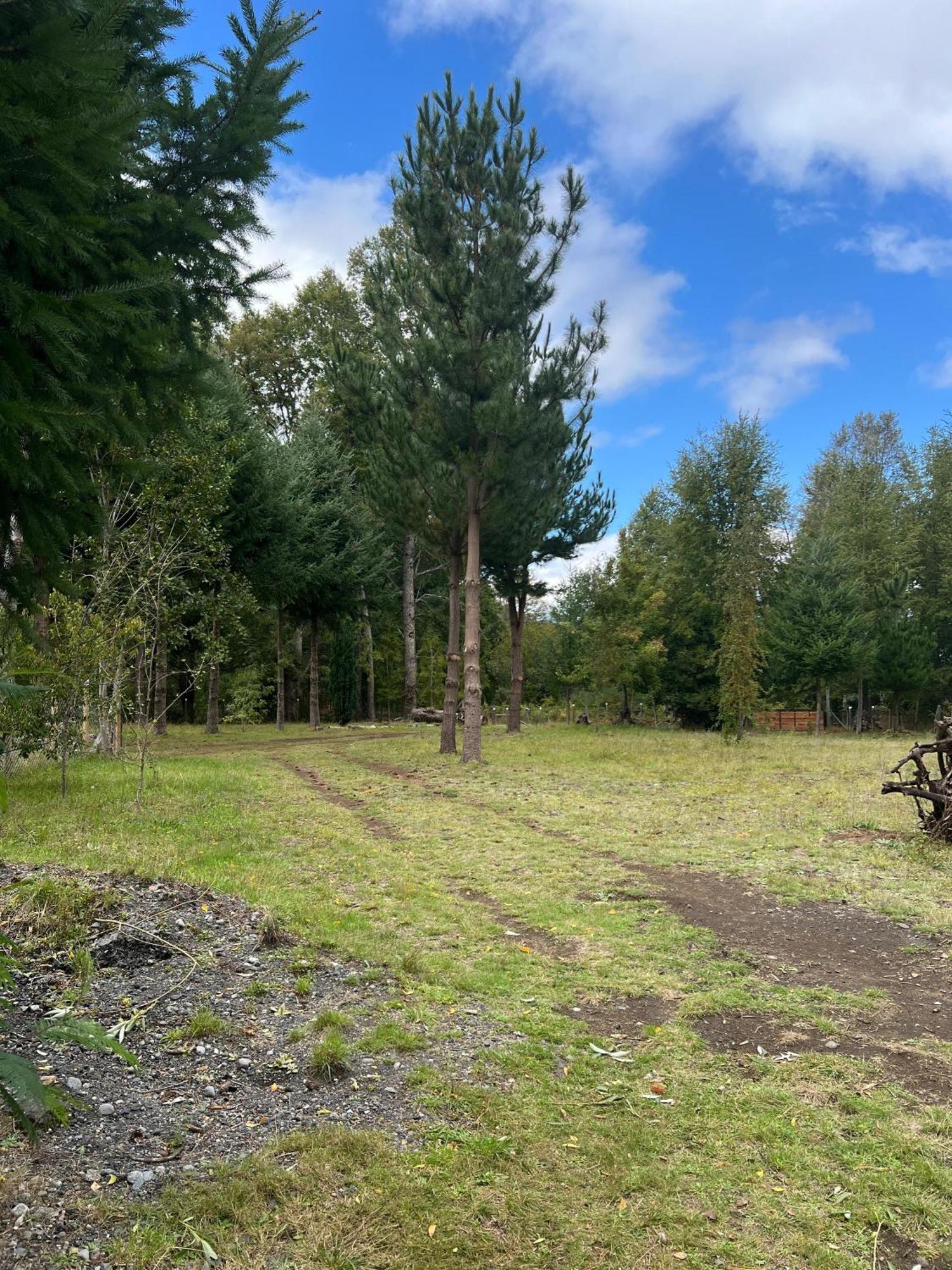 Cabana May Pao, Para 3 En Melipeuco Cerca Del Parque Nacional Conguillio Extérieur photo